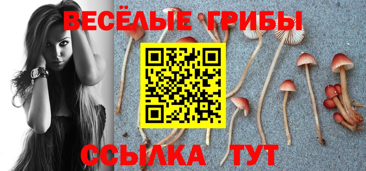 Галлюциногенные грибы мухоморы Югорск