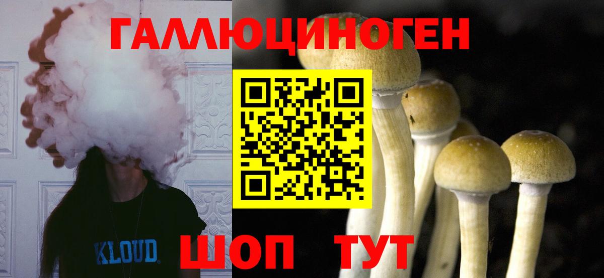 Югорск  Псилоцибиновые грибы Psilocybine cubensis  Вход с VPN 